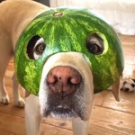 Watermelon Thugs