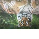 Th tiger union