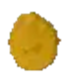Mr. Patoe