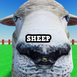 Sheep