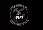 15th Reconnaissance unit