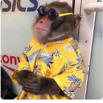 Monke clan group