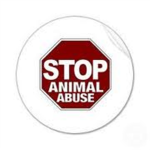Anti Animal Abuse Program
