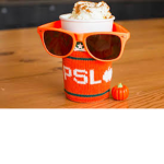 Pumpkin Spice Latte☕