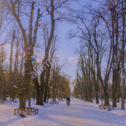 A Cold Winter
