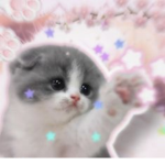 CUTEG0R3