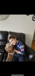 The Boy Scouts And Boy Scouts Group