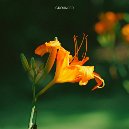 Shadows Roblox music