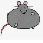 RatToilet