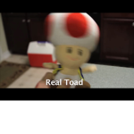 Toad Club M