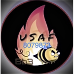 USAFBb3ONYT Group
