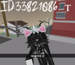 w4ks