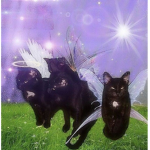 •*princess castle•*