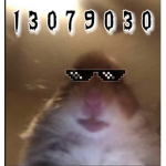 Hamster W