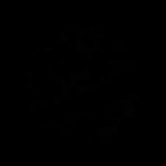vo2d group