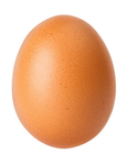 The Egg 67
