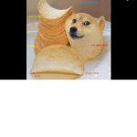 THE DOGE IS NICE