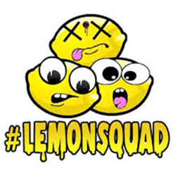 🍋Lemon Story Obby🍋