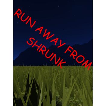 run from shrunk(WIP)