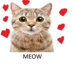 #Cat people