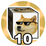 Reach Block 10