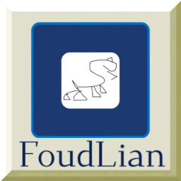 FoudLian