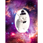 Fancy llamas