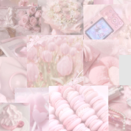 Ariana's Butterfly Hub