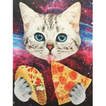 The roblox kitten group
