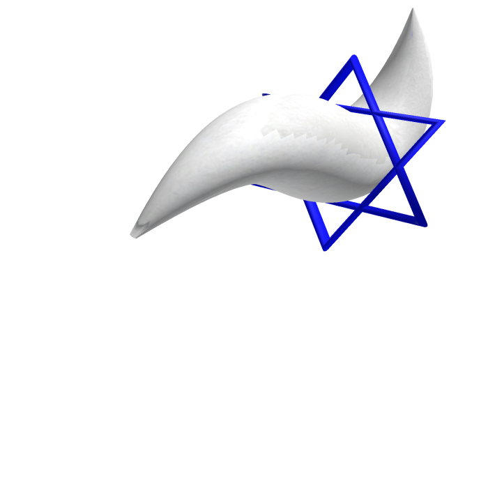 Jewish furry tail