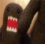 domo fans