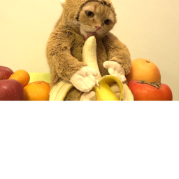 BANANA obby