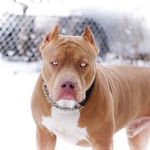 We The Pits!