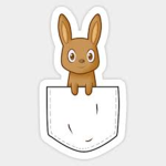 Kangaroo hopper