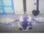 Dragons in shadows