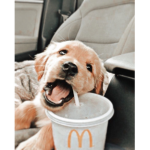 Aʟᴏɴᴇ