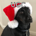Lucky UGC