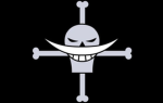 Whitebeard Pirates | Vivre