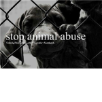 Animal abuse haters for ever and ever