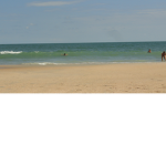 The Beach Sqaud