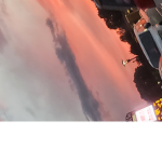 Buzzy roblox army!
