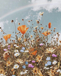 -+*Cottage Core Vibes*+-