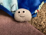 Pet rock awareness club