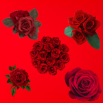 Roses dance company