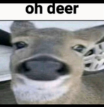 Bruh Zzzzz