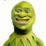 d-daewfrshup