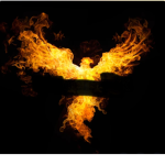 JT_Phoenix Studios/Phoenix MM2 Tournaments