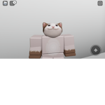 Cat’s hang out