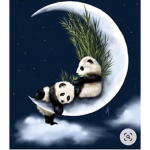 Baby Panda Pack