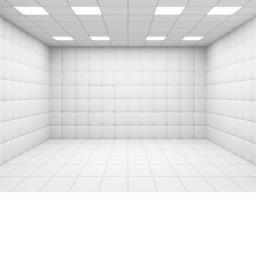 Solitary Confinement